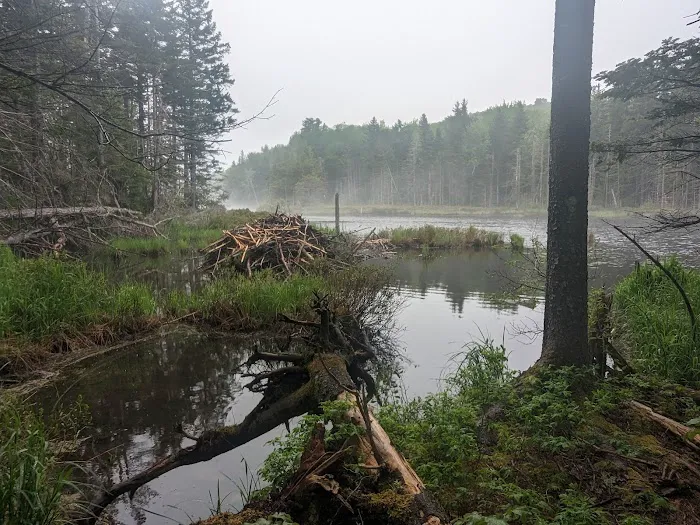 Stratton Pond Tenting Area 1