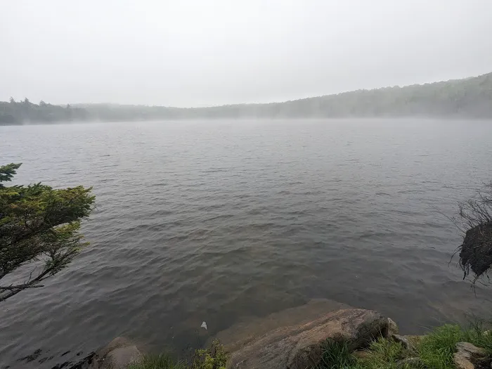 Stratton Pond Tenting Area 0