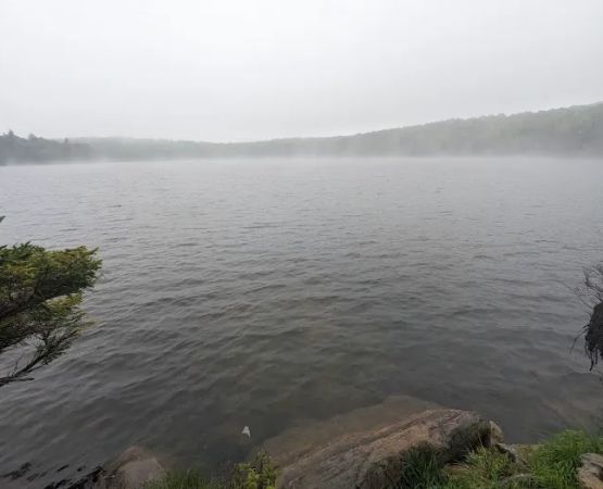 Stratton Pond Tenting Area