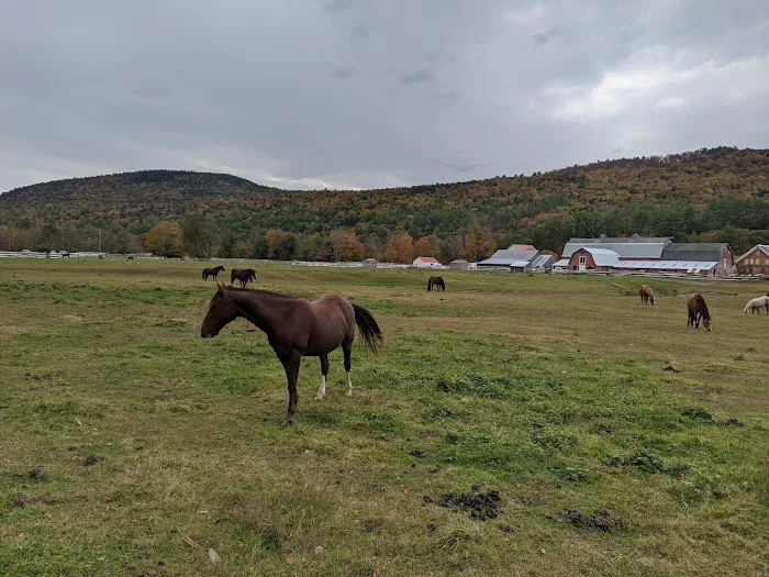 Rock River Cottage & Antiques 4