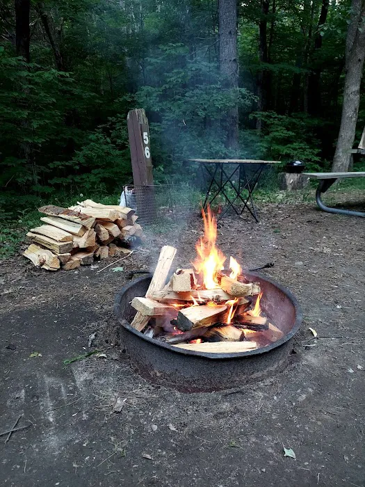 Winhall Brook Campground 8