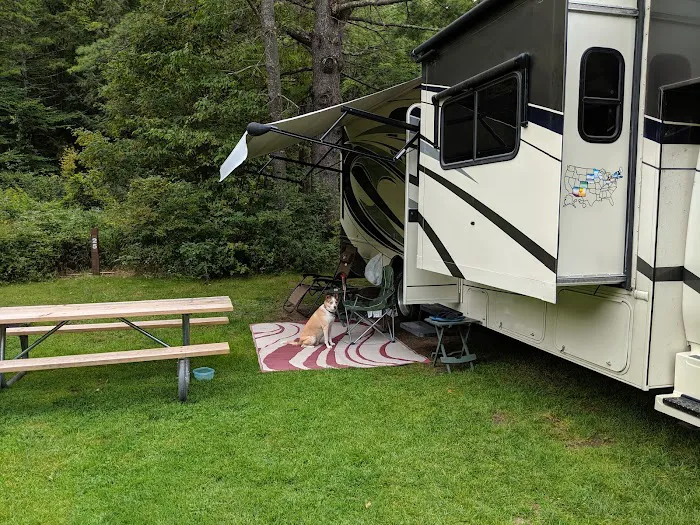 Winhall Brook Campground 2