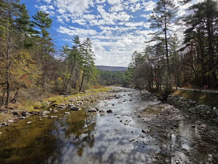 Winhall Brook Campground 3