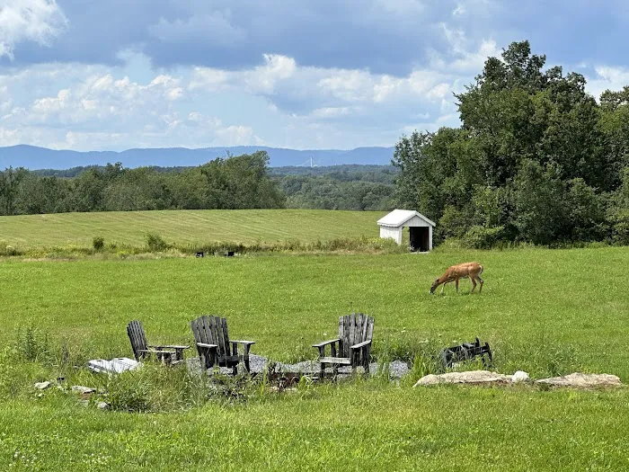 The Barn at Willow's Hollow 4