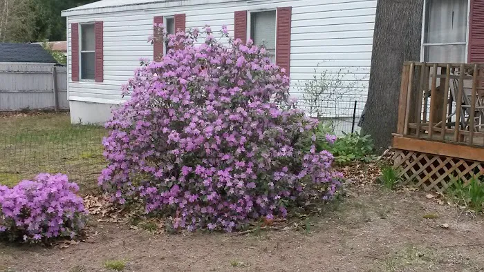 Northwinds Mobile Estates 0