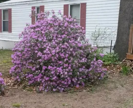 Northwinds Mobile Estates