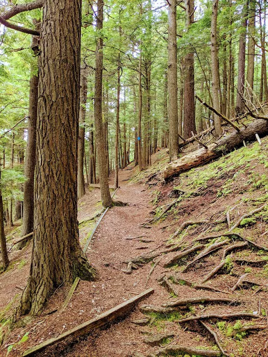 Hapgood Pond Campground 4