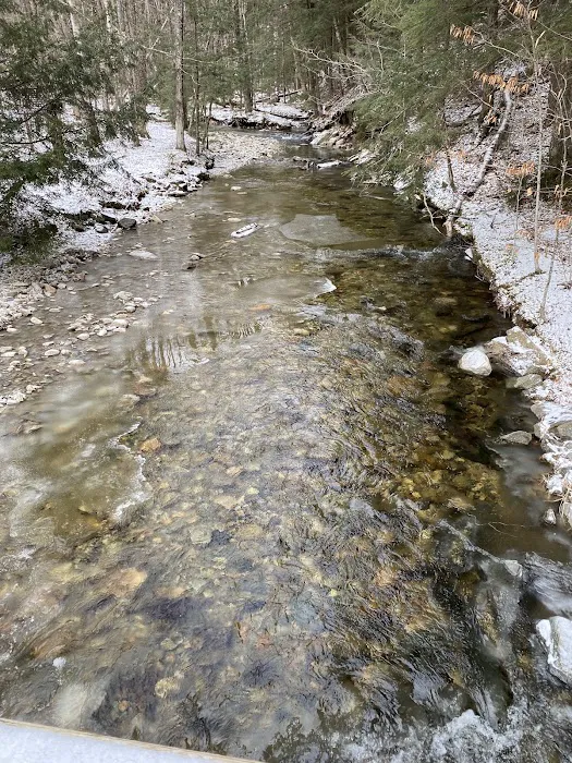 Hapgood Pond Campground 9