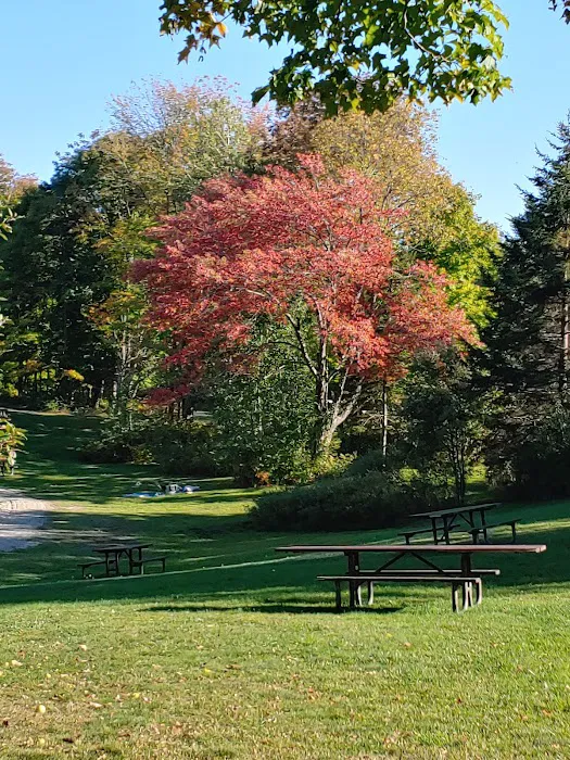 Hapgood Pond Campground 7