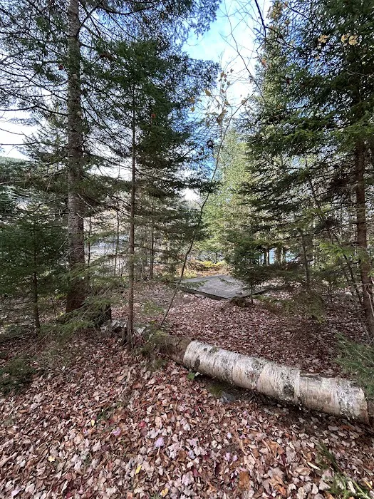 Little Rock Pond Shelter 4