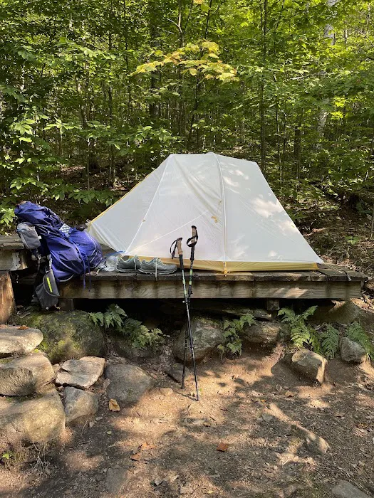 Little Rock Pond Shelter 9