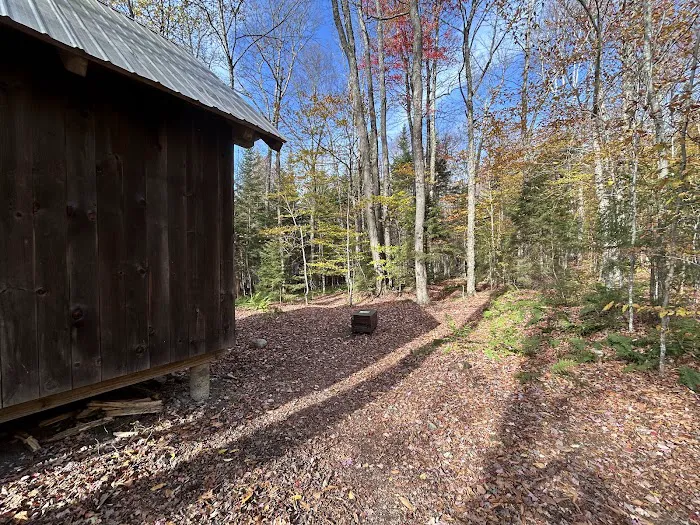 Little Rock Pond Shelter 8