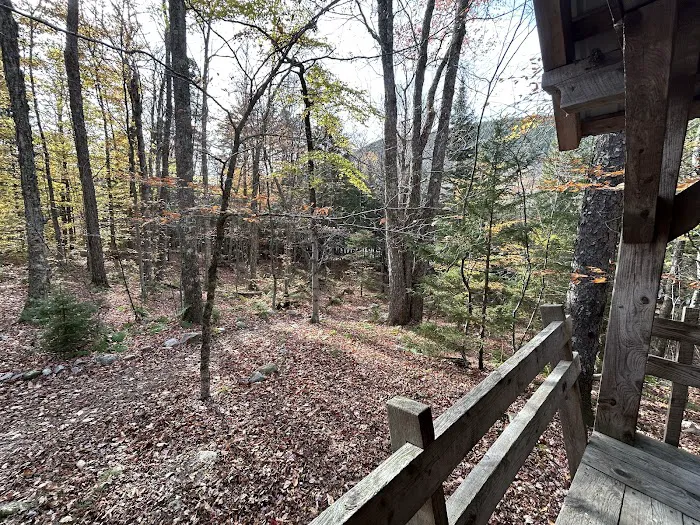 Little Rock Pond Shelter 3