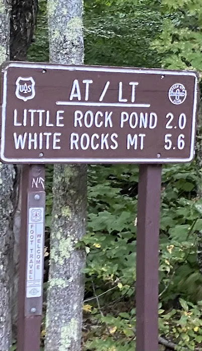Little Rock Pond Shelter 5