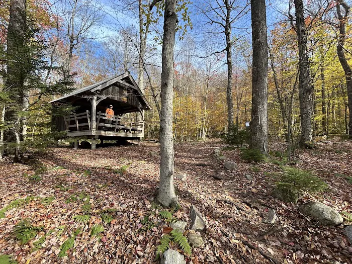 Little Rock Pond Shelter 7