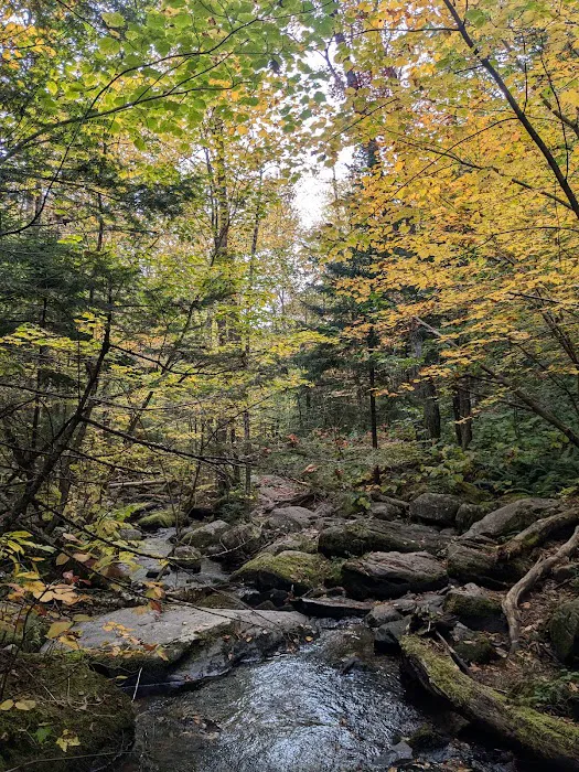 Little Rock Pond Shelter 2
