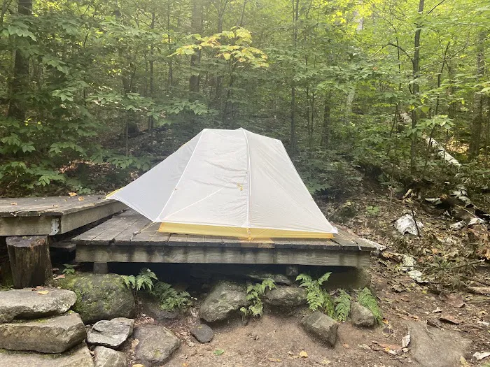 Little Rock Pond Shelter 0