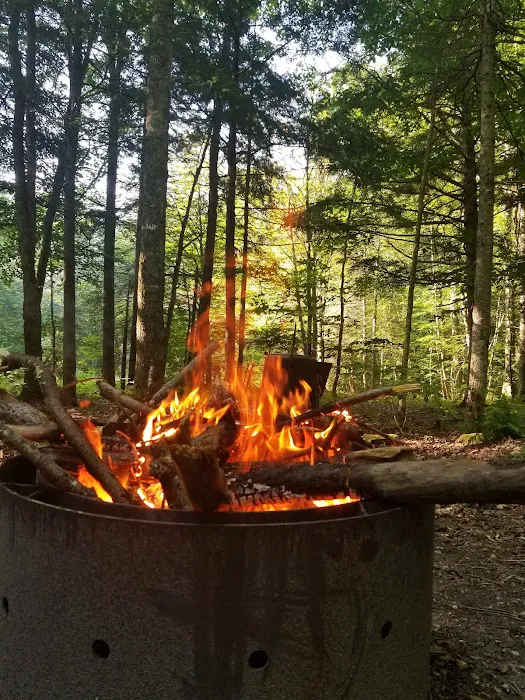 Greendale Campground 6