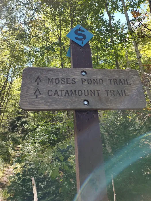 Greendale Campground 4