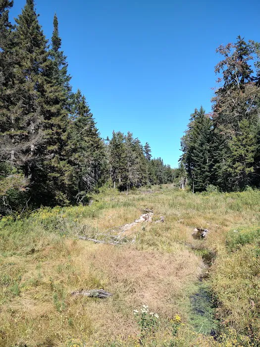 Greendale Campground 7