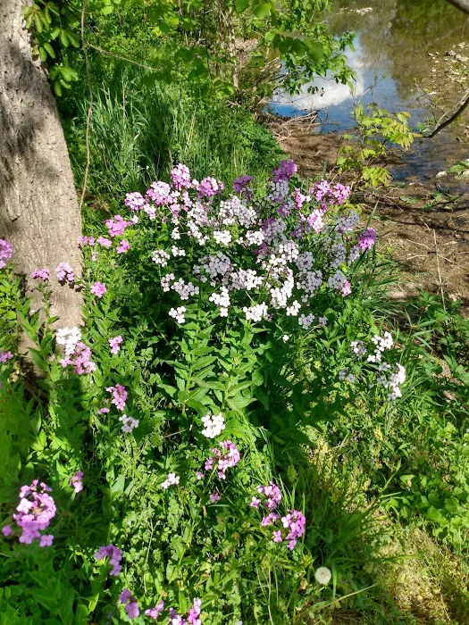 Marsh Creek of Gettysburg Campground 1