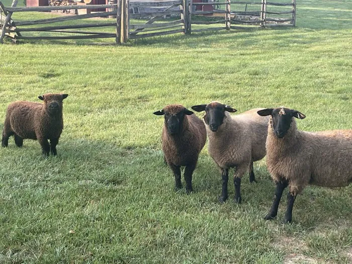 Youth group camping in PA 0