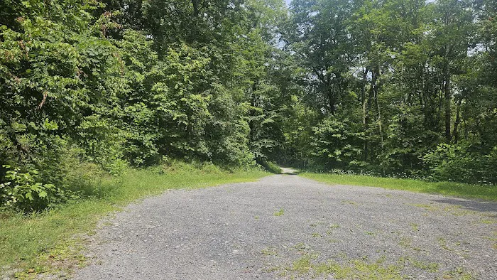 Rothrock State Forest Campsite #4 0