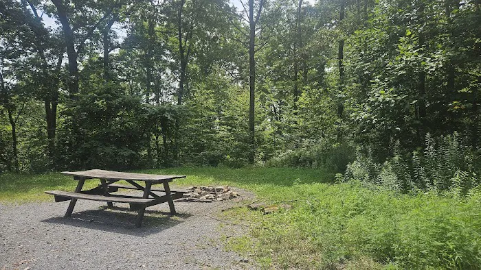 Rothrock State Forest Campsite #4 2