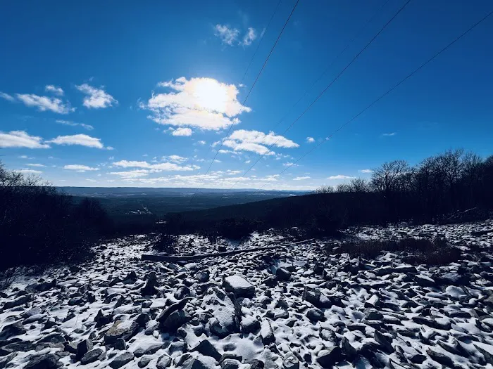 Rothrock State Forest Campsite #3 6