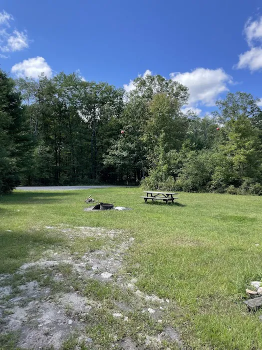 Rothrock State Forest Campsite #3 7