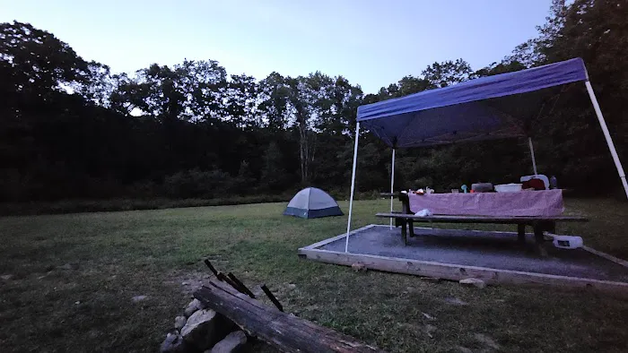 Rothrock State Forest Campsite #3 0