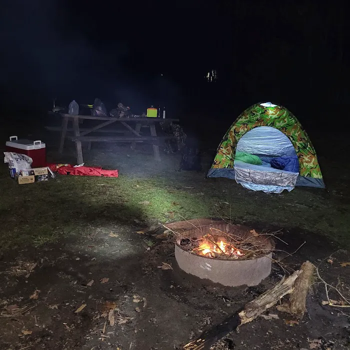 Rothrock State Forest Campsite #3 8