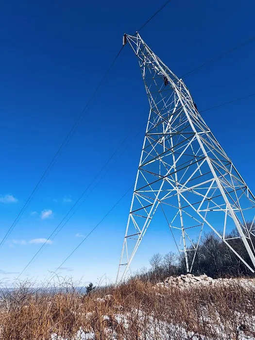 Rothrock State Forest Campsite #3 2