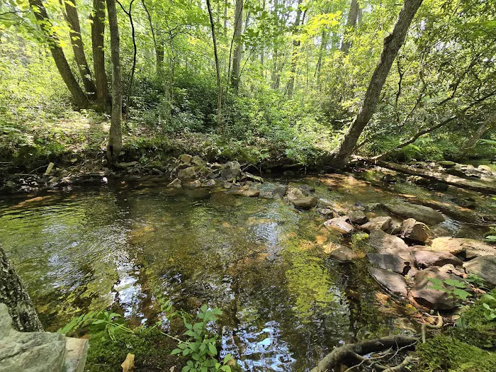 Rothrock State Forest Campsite #3 4