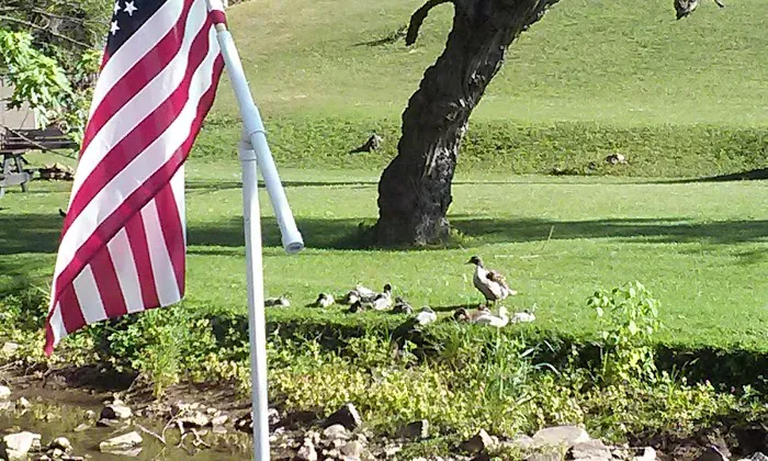 Idle Acres Camping Area 1