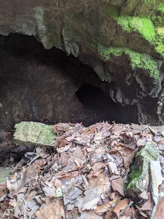 Idle Acres Camping Area 3