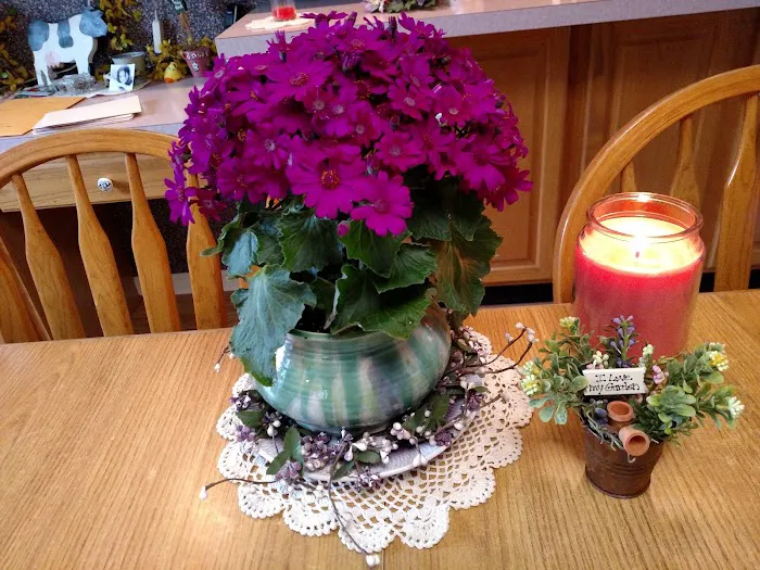 Idle Acres Camping Area 4