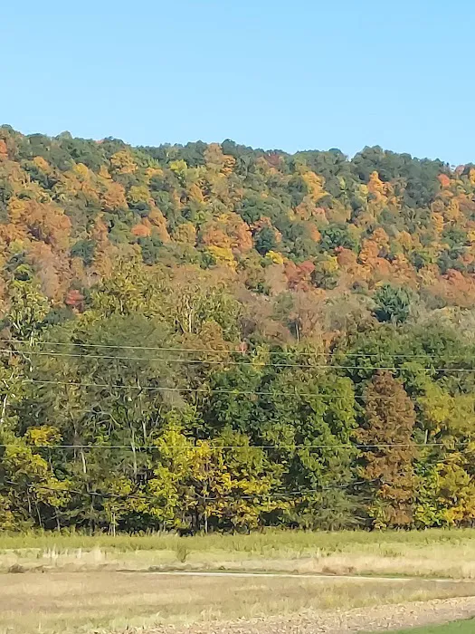 Robinson's Family Campground 0