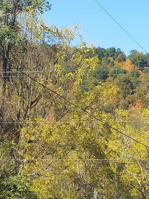 Robinson's Family Campground 4