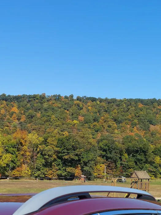 Robinson's Family Campground 5