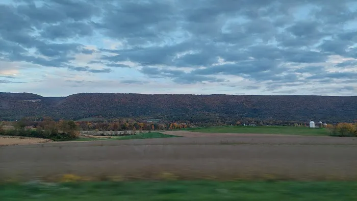 Robinson's Family Campground 3