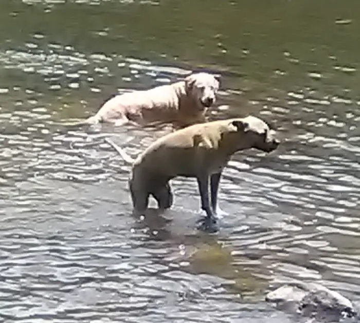 Barbens Campground 4