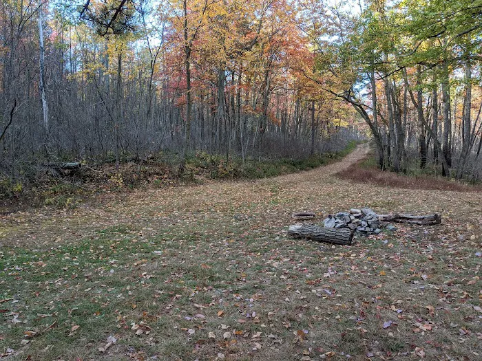 Primitive Campsite #8 5