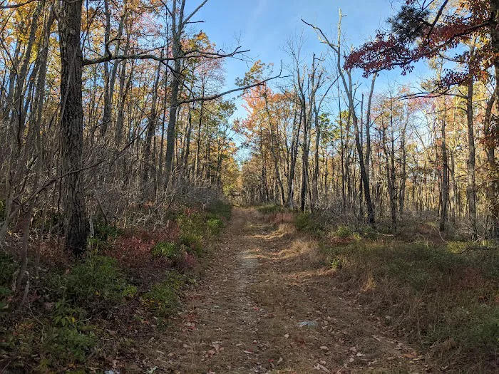 Primitive Campsite #8 3