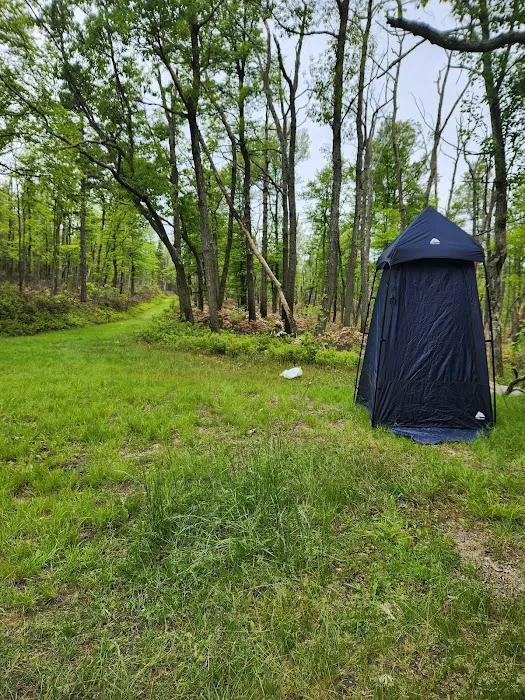 Primitive Campsite #8 6