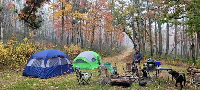 Primitive Campsite #8 1