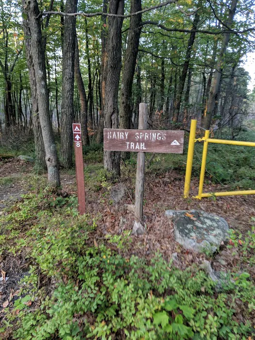 Primitive Campsite #8 9