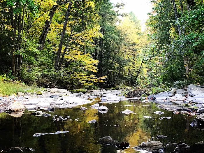 Conewago Campground 4