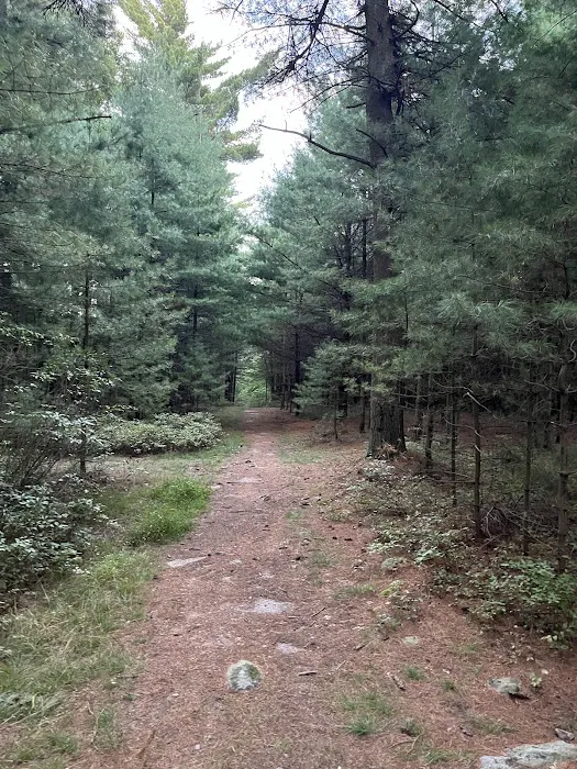 Primitive Campsite #10 8