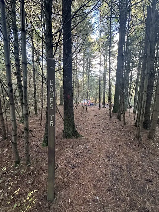 Primitive Campsite #10 3